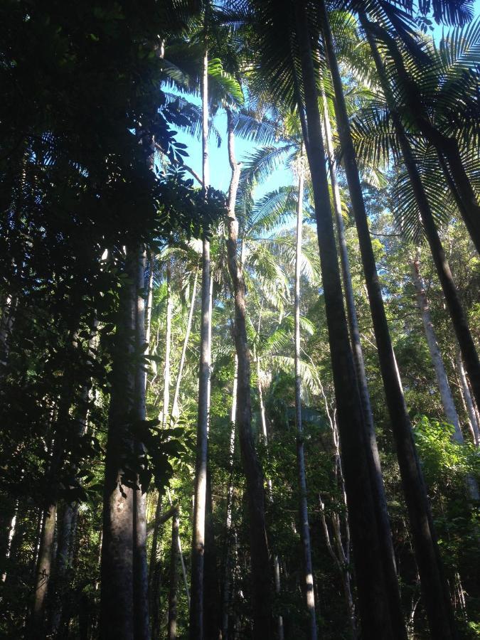 Pengelly's Boutique Private * Buderim